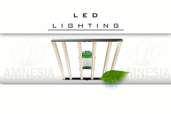 LED auginimo lempos pradedantiesiems - kaip išsirinkti?