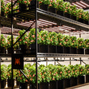 Spider Farmer® G860W LED 150x150cm