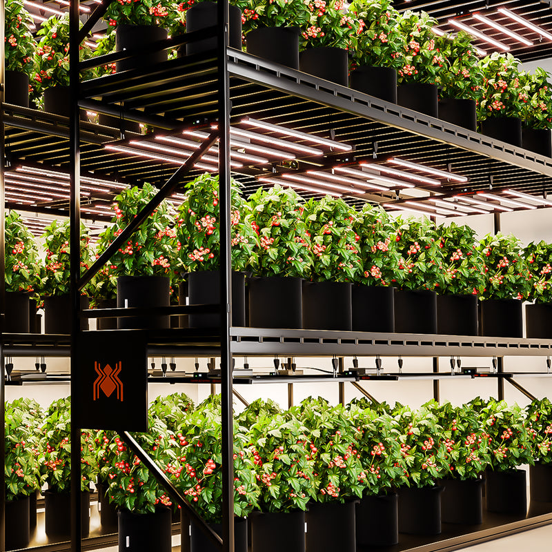 Spider Farmer® G860W LED 150x150cm