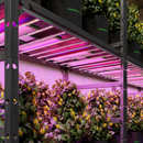 Mars Hydro Adlite UV55+IR30+R55 LED kasvuvalgustiribad lisavalgustuseks
