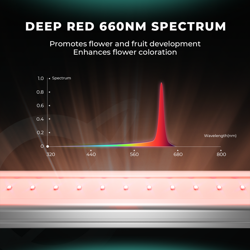 Mars Hydro Adlite UV55+IR30+R55 LED auginimo lempų juostos papildomam apšvietimui