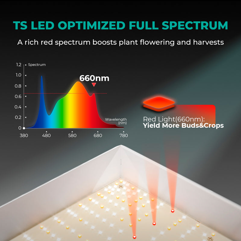 Mars Hydro TSL 2000 LED 300W 120x60cm