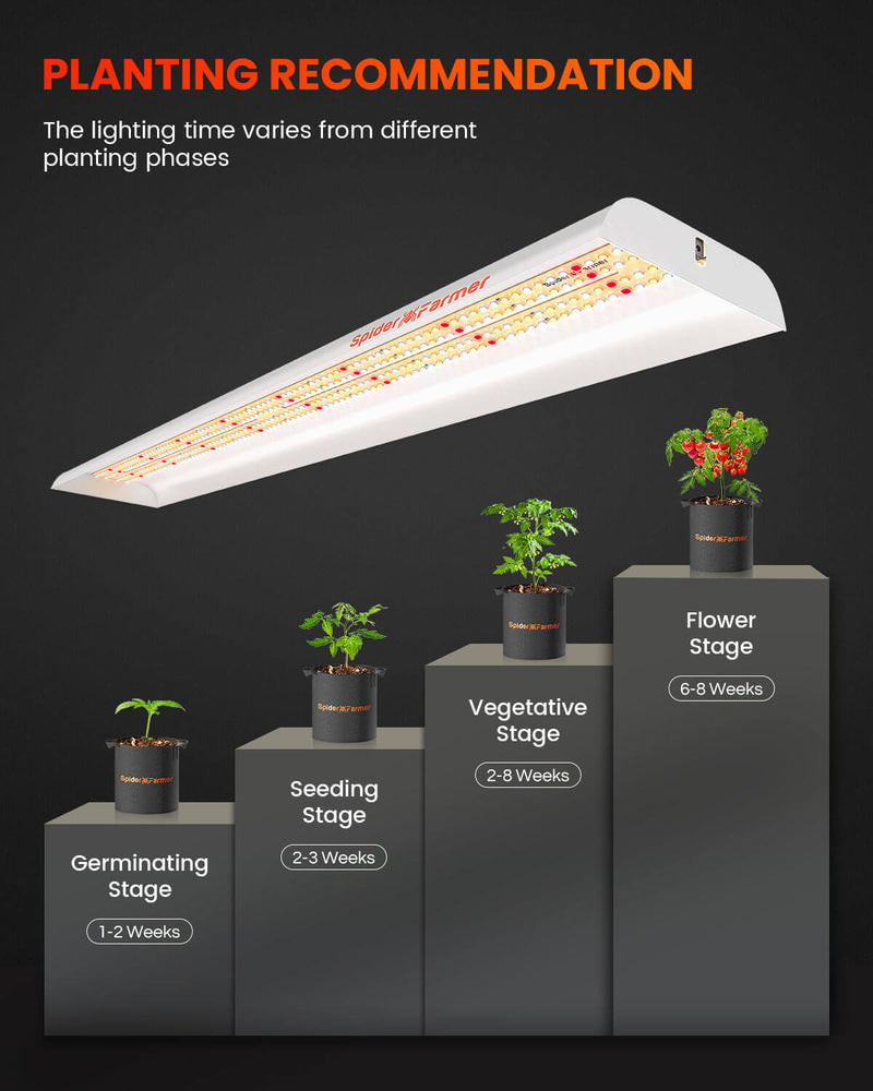 Spider Farmer® SF600 LED 74W 120x60cm