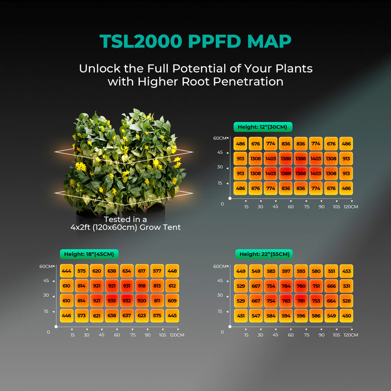 Mars Hydro TSL 2000 LED 300W 120x60cm