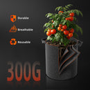 Spider Farmer® SF2000 LED 200W 120x60x180cm / kasvatuskomplekt