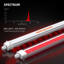 Spider Farmer GlowR40 40 W LED / raudono papildomo apšvietimo rinkinys – galerijos nuotrauka 5
