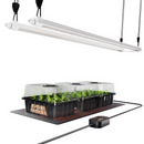 Spider Farmer Glow80 80 W LED + daigyklos + šildymo kilimėlis / daiginimo rinkinys – pagrindinė nuotrauka
