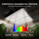 Spider Farmer SF2000 Pro 200 W LED + GGS valdiklis / apšvietimo rinkinys – galerijos nuotrauka 2