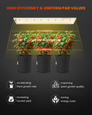 Spider Farmer SF600 LED + S-Station / išmanusis daiginimo apšvietimo rinkinys – galerijos nuotrauka 4