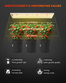 Spider Farmer SF300 33 W LED + daigyklos + šildymo kilimėlis / daiginimo rinkinys – galerijos nuotrauka 3