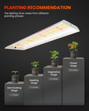 Spider Farmer SF300 33 W LED + daigyklos + šildymo kilimėlis / daiginimo rinkinys – galerijos nuotrauka 4
