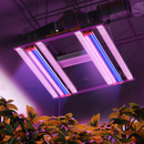 Spider Farmer G3000 300 W LED + UV30 ir IR16 60 cm / apšvietimo rinkinys – pagrindinė nuotrauka