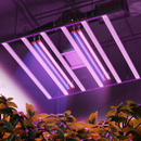 Spider Farmer G8600 800 W LED + UV60 ir IR30 90 cm / apšvietimo rinkinys – pagrindinė nuotrauka