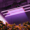 Spider Farmer SE4500 320 W LED + UV30 ir IR16 60 cm / apšvietimo rinkinys – pagrindinė nuotrauka