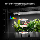 Spider Farmer 120 W LED + 70x35x150 cm 4 lygių lentyna su tentu + 4 daiginimo padėklai / daiginimo rinkinys