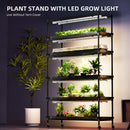Spider Farmer 250 W LED + 110x40x180 cm 6 aukštų lentyna su tentu / daiginimo ir auginimo rinkinys
