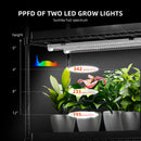 Spider Farmer 250 W LED + 110x40x180 cm 6 aukštų lentyna su tentu / daiginimo ir auginimo rinkinys
