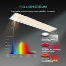 Mars Hydro TSL 2000 LED 300W 120x60cm