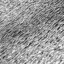 Juur! S 25x35cm, M 40x60cm, L 40x120cm