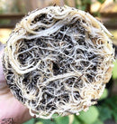 MycoTerra Kraken 57g, 114g, 255g / pulber