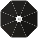 Secret Jardin Daisy 80cm